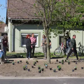 Zväčšiť fotografiu brigada-za-krajsie-levare-(10)