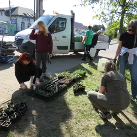 Zväčšiť fotografiu brigada-za-krajsie-levare-(13)