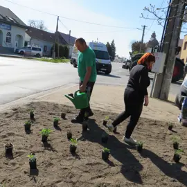 Zväčšiť fotografiu brigada-za-krajsie-levare-(17)