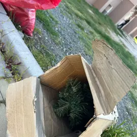 Zväčšiť fotografiu brigada-za-krajsie-levare