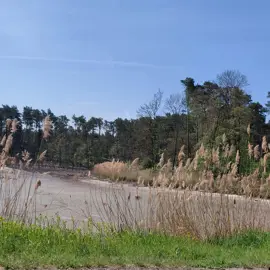 Zväčšiť fotografiu cyklistika-k-malackym-rybnikom-(16)