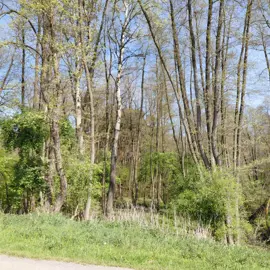 Zväčšiť fotografiu cyklistika-k-malackym-rybnikom-(18)