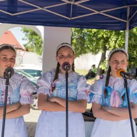 img_8781