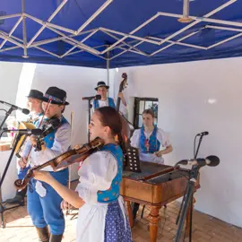 img_8783
