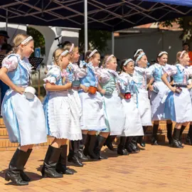 Zväčšiť fotografiu detske-krojovane-slavnosti-vo-velkych-levaroch-(106)
