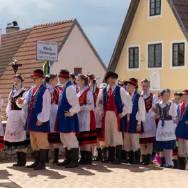 Zväčšiť fotografiu detske-krojovane-slavnosti-vo-velkych-levaroch-(118)