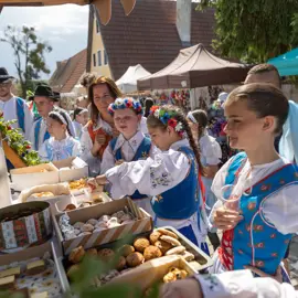 Zväčšiť fotografiu detske-krojovane-slavnosti-vo-velkych-levaroch-(129)