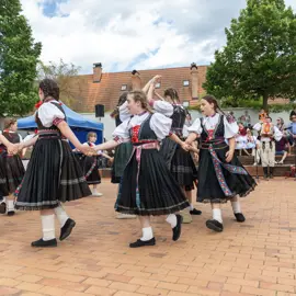 Zväčšiť fotografiu detske-krojovane-slavnosti-vo-velkych-levaroch-(145)