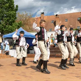 Zväčšiť fotografiu detske-krojovane-slavnosti-vo-velkych-levaroch-(146)
