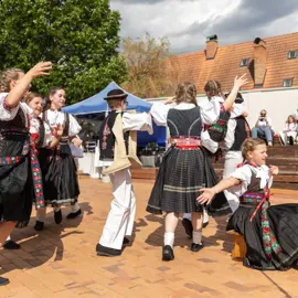 Zväčšiť fotografiu detske-krojovane-slavnosti-vo-velkych-levaroch-(148)