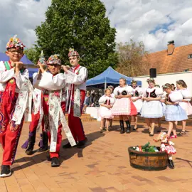 Zväčšiť fotografiu detske-krojovane-slavnosti-vo-velkych-levaroch-(155)