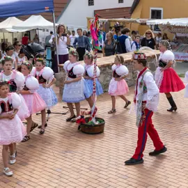 Zväčšiť fotografiu detske-krojovane-slavnosti-vo-velkych-levaroch-(158)