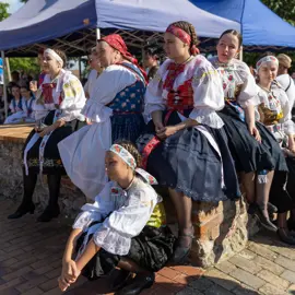 Zväčšiť fotografiu detske-krojovane-slavnosti-vo-velkych-levaroch-(166)