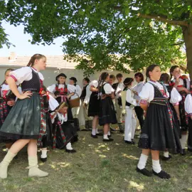 Zväčšiť fotografiu detske-krojovane-slavnosti-vo-velkych-levaroch-(24)