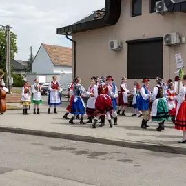 Zväčšiť fotografiu detske-krojovane-slavnosti-vo-velkych-levaroch-(84)