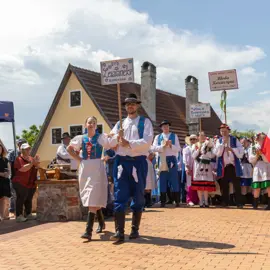 Zväčšiť fotografiu detske-krojovane-slavnosti-vo-velkych-levaroch-(91)
