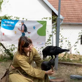 Zväčšiť fotografiu habansky-hodovy-jarmok-2026-(113)