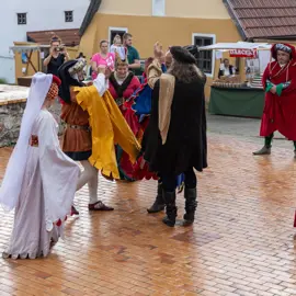 Zväčšiť fotografiu habansky-hodovy-jarmok-2026-(128)