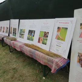 Zväčšiť fotografiu habansky-hodovy-jarmok-2026-(15)