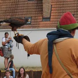 Zväčšiť fotografiu habansky-hodovy-jarmok-2026-(28)