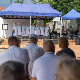 Zväčšiť fotografiu habansky-hodovy-jarmok-2026-(84)
