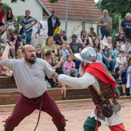 Zväčšiť fotografiu habansky-hodovy-jarmok-2026-(94)