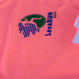img__2019