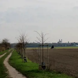 img_6497