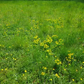 20230430_135613