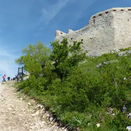 p1190733