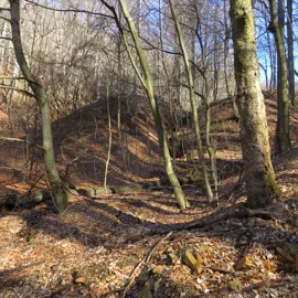 Zväčšiť fotografiu turistika_na_skalnatu__06