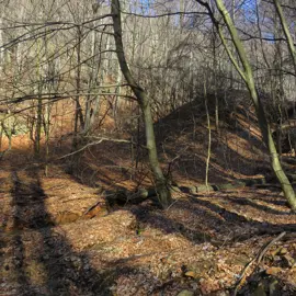 Zväčšiť fotografiu turistika_na_skalnatu__07