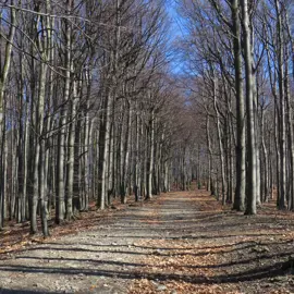 Zväčšiť fotografiu turistika_na_skalnatu__12