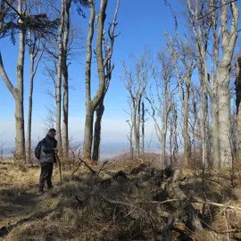 Zväčšiť fotografiu turistika_na_skalnatu__18