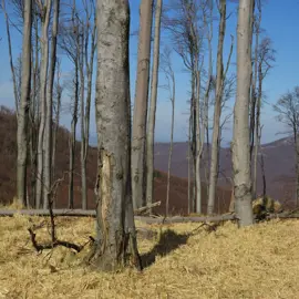 Zväčšiť fotografiu turistika_na_skalnatu__24