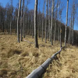 Zväčšiť fotografiu turistika_na_skalnatu__25