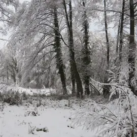 Zima vo Veľkých Levároch a okolí