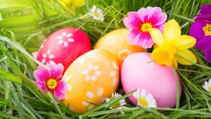 easter-eggs-hd-wallpaper_nowat