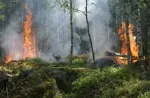 Upozornenie na zvýšené nebezpečenstvo vzniku požiarov