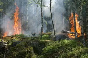 forest-fire-432870_960_720