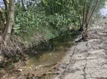 Pokračujeme v čistení kanála prepájajúceho mlynský náhon a Abród 