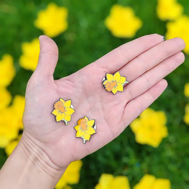 Vo štvrtok je Deň narcisov