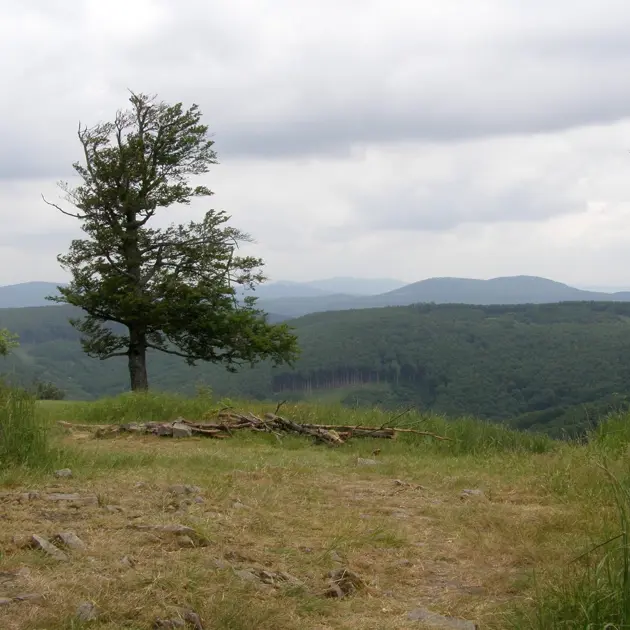 Pozvánka na túru na Skalnatú