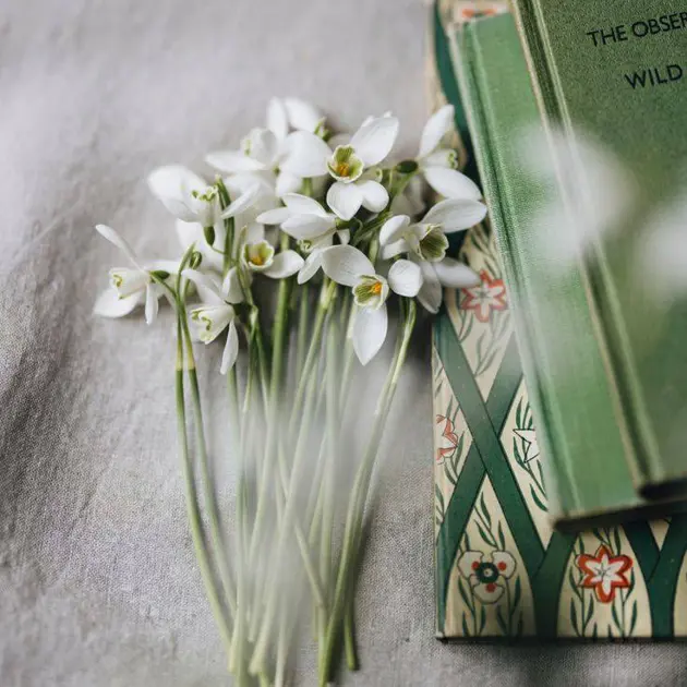 Marec mesiac knihy - pozývame do knižnice