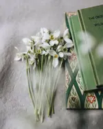 Marec mesiac knihy - pozývame do knižnice