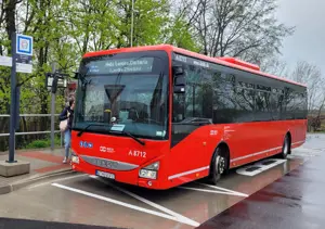 bus